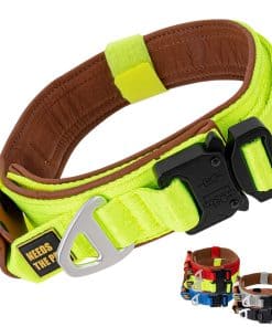 Collar Cómodo de Cuero Acolchado para Perro de Todas las