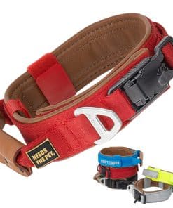 Collar de perro acolchado de suave cuero para todas las