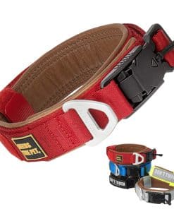 Collar Cómodo de Cuero Vacuno Acolchado para Perros de