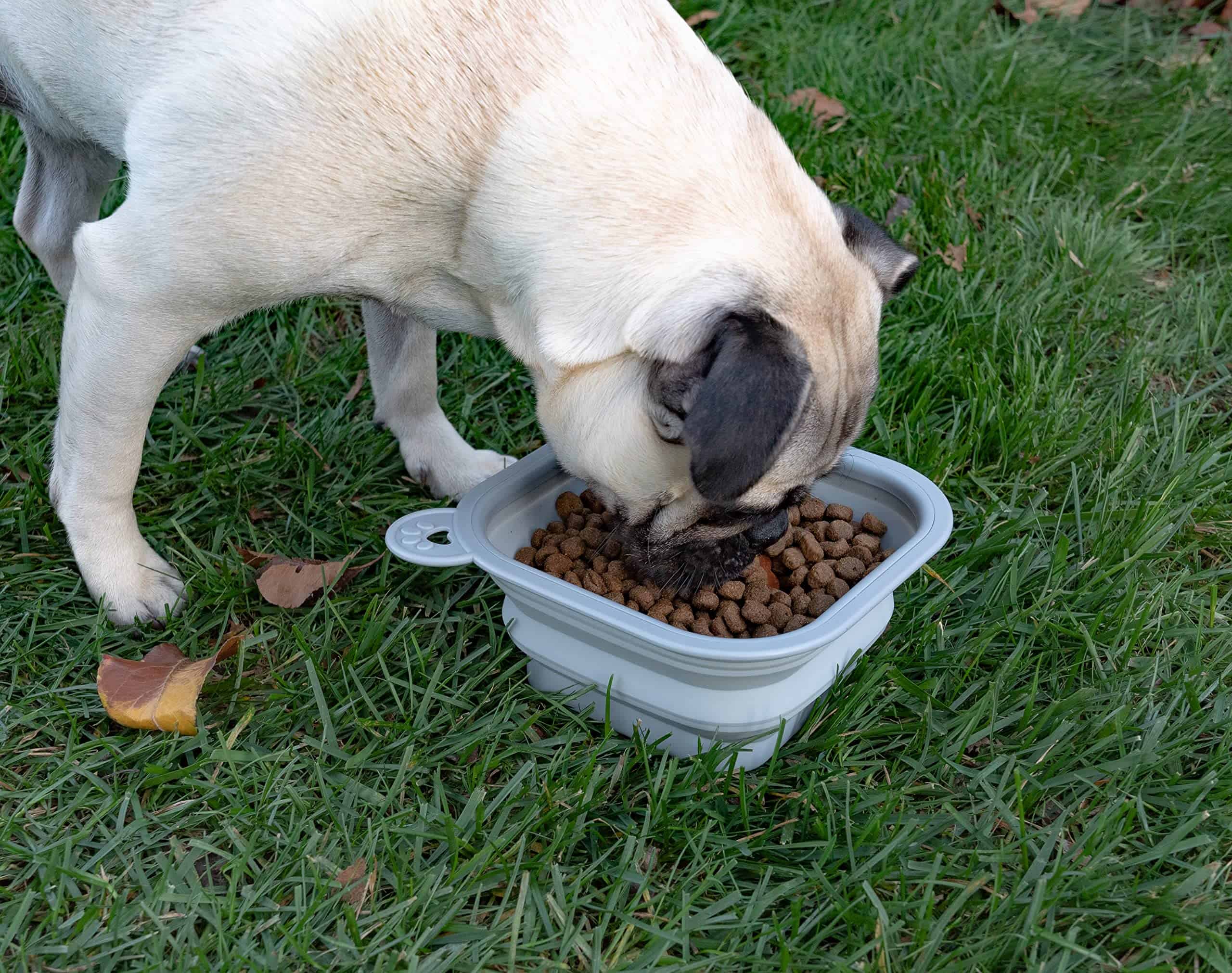 Comedero Plegable de Reemplazo Dine Away para Perros - Imagen 5