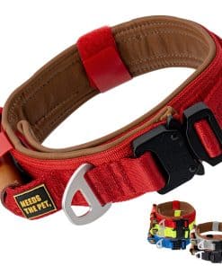 Collar para Perros de Cuero Suave Acolchado con Hebilla