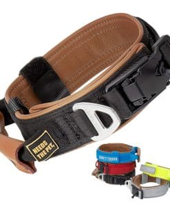 Collar Acolchado de Cuero Suave para Perros de Todas las