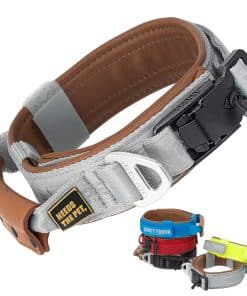 Collar Cómodo, Collar acolchado de piel de vaca suave para