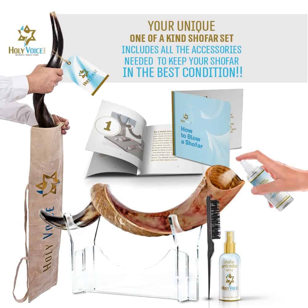 Shofar Kosher de Kudu de Israel - Tradicional Cuerno Yemení - Imagen 4