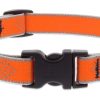 Collar para Perro Pequeño Reflectante Lupine 3/4" Ancho