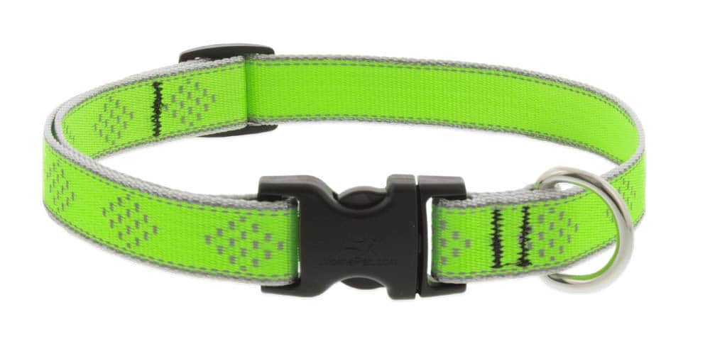 Collar Reflectante para Perros Lupine 3/4" Ancho Verde
