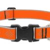 Collar Reflectante para Perro Lupine 1" Ancho Naranja