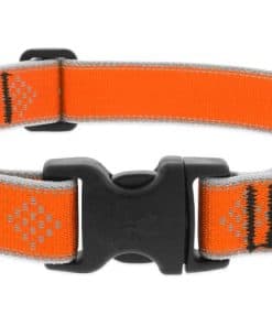 Collar Reflectante para Perro Lupine 1" Ancho Naranja