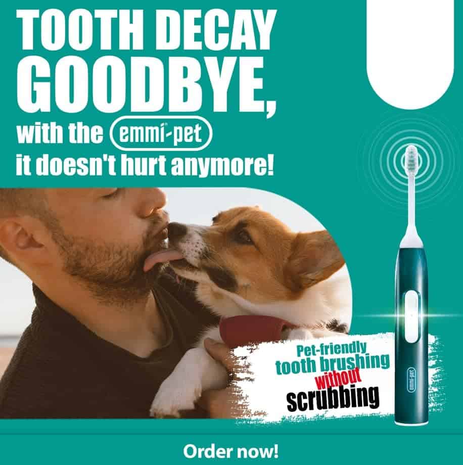 Set de Cepillo de Dientes Eléctrico Emmi-pet 2.0 para - Imagen 9