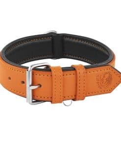 Collar Ajustable de Cuero Genuino Acolchado para Perros de