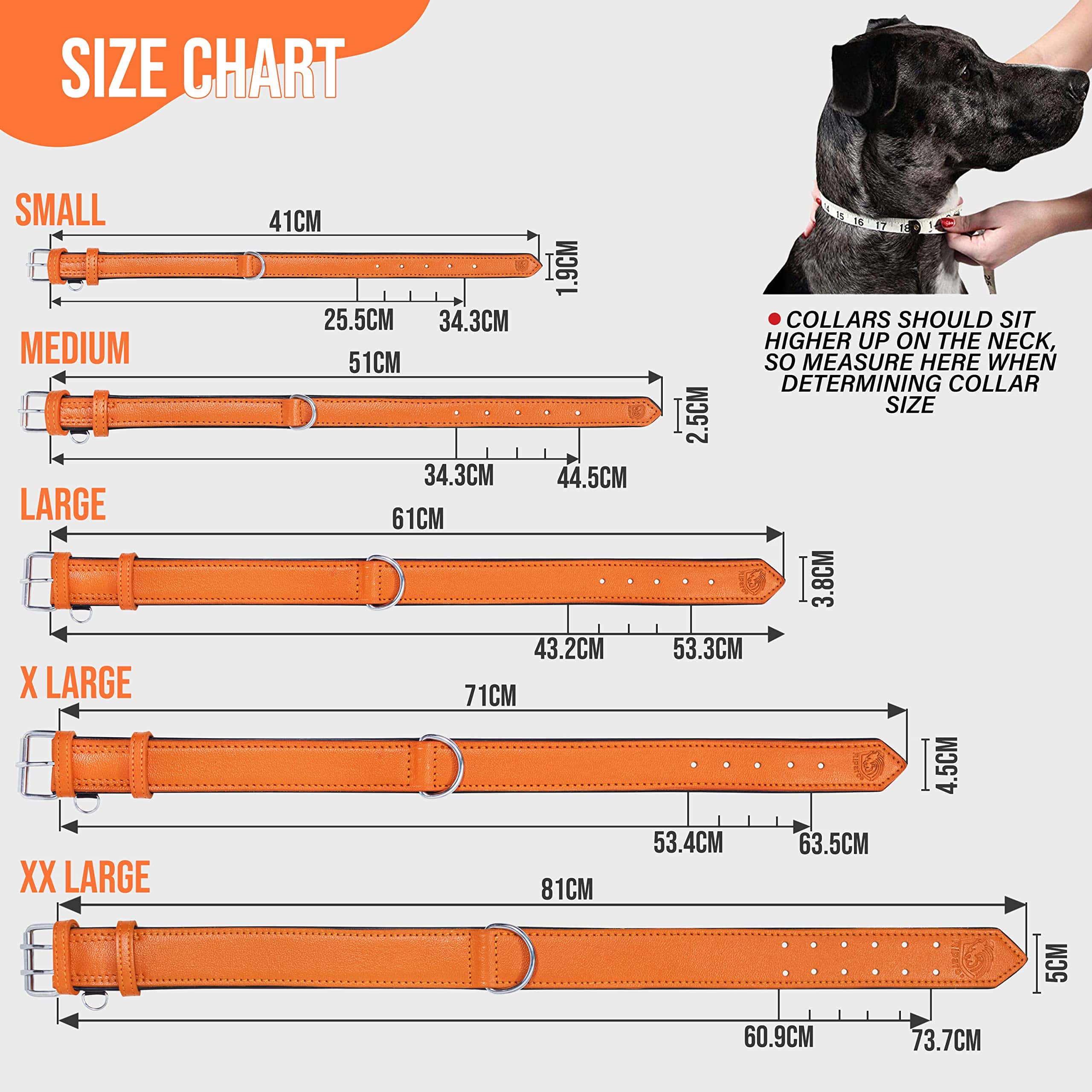 Collar Ajustable de Cuero Genuino Acolchado para Perros de - Imagen 7