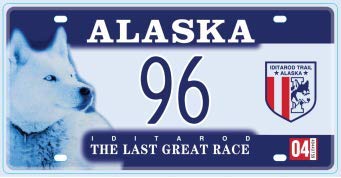 Set de 50 Placas de Matrícula de los 50 Estados de los - Imagen 4