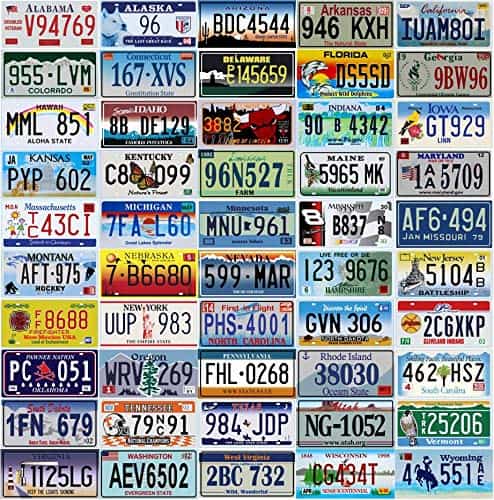 Set de 50 Placas de Matrícula de los 50 Estados de los
