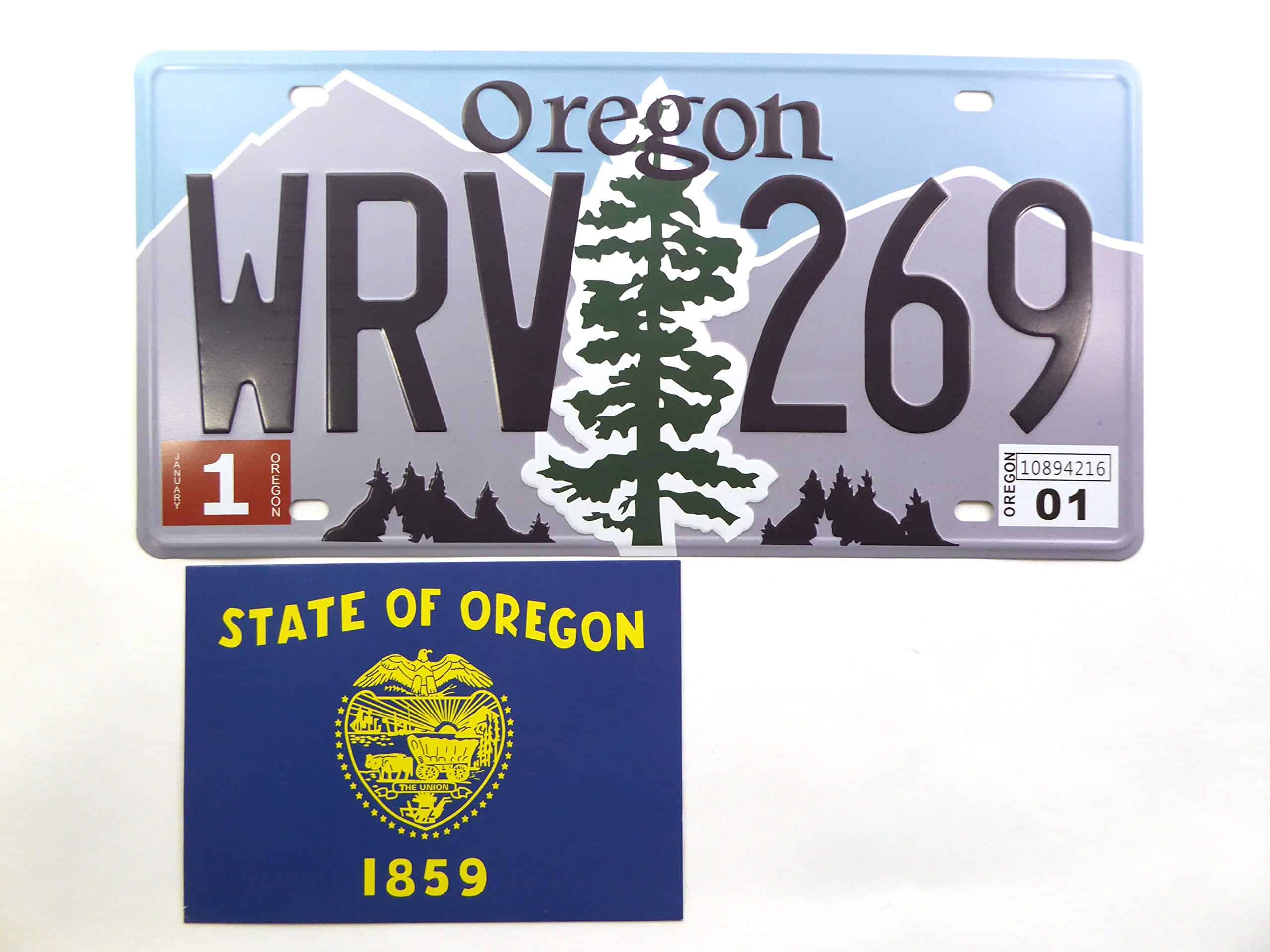 Set de 50 Placas de Matrícula de los 50 Estados de los - Imagen 5