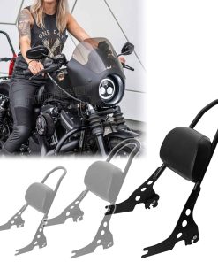 Sissy Bar para Sportster Se Adapta a Modelos XL 04-21