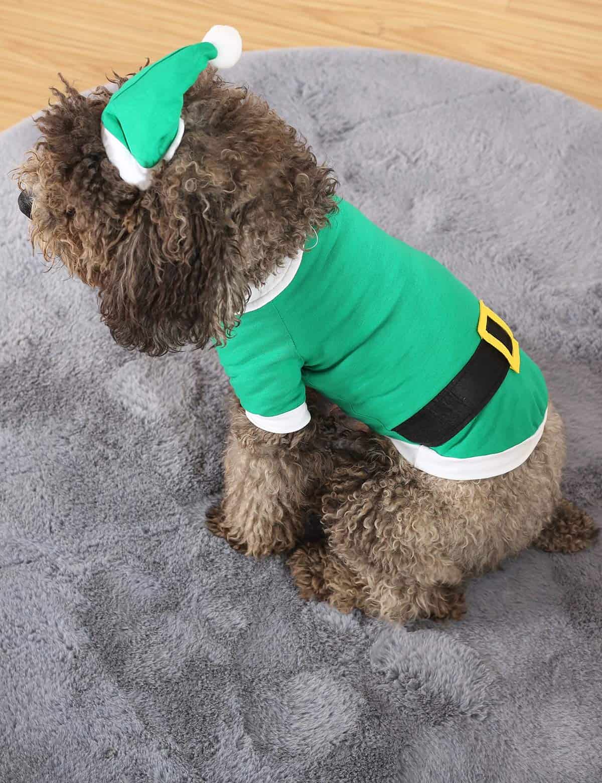 Camiseta de Navidad para Perro Impoosy con Sombrero - Imagen 6