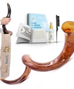 Shofar Kosher Yemení Kudu de 41"-43" Completo Pulido de