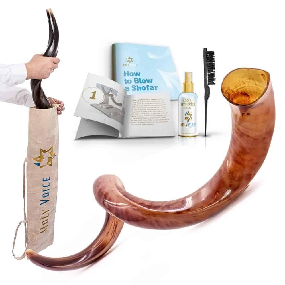 Shofar Yemení Kosher de Kudu Pulido Completo de Israel -