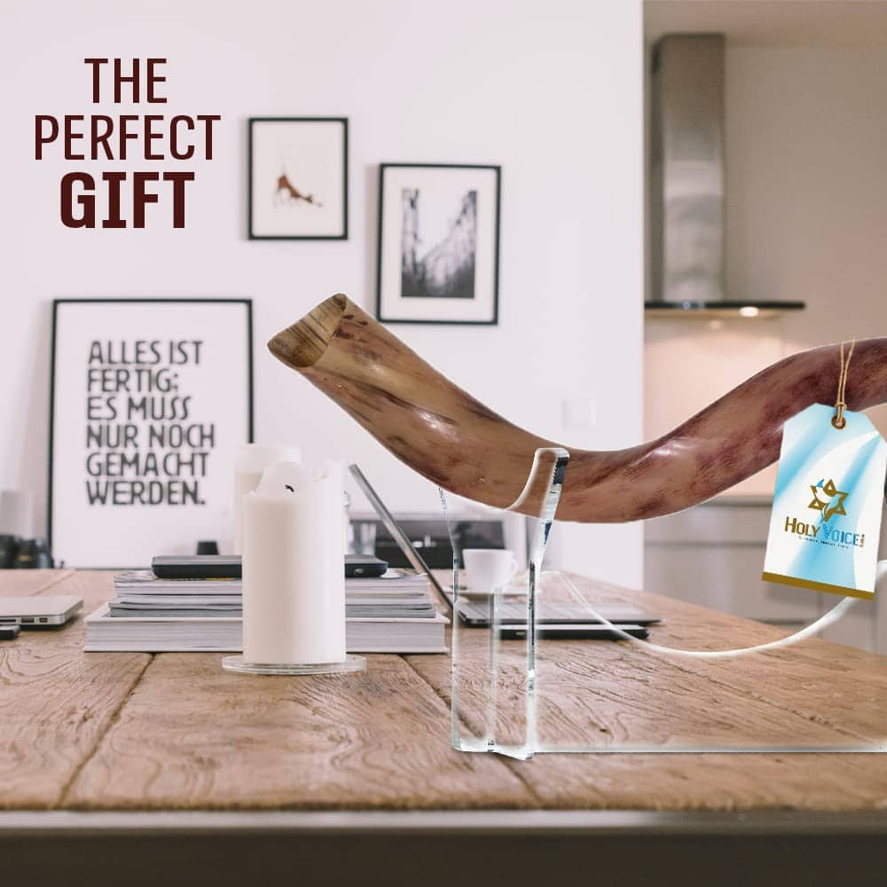 Shofar Yemení Kosher de Kudu Pulido Completo de Israel - - Imagen 7