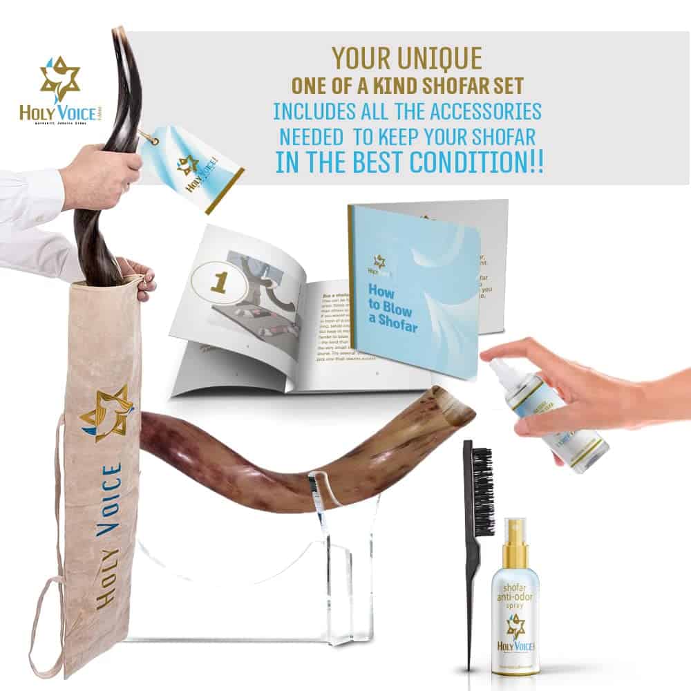 Shofar Yemení Kosher de Kudu Pulido Completo de Israel - - Imagen 3