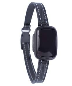 Receptor adicional para el collar de entrenamiento remoto