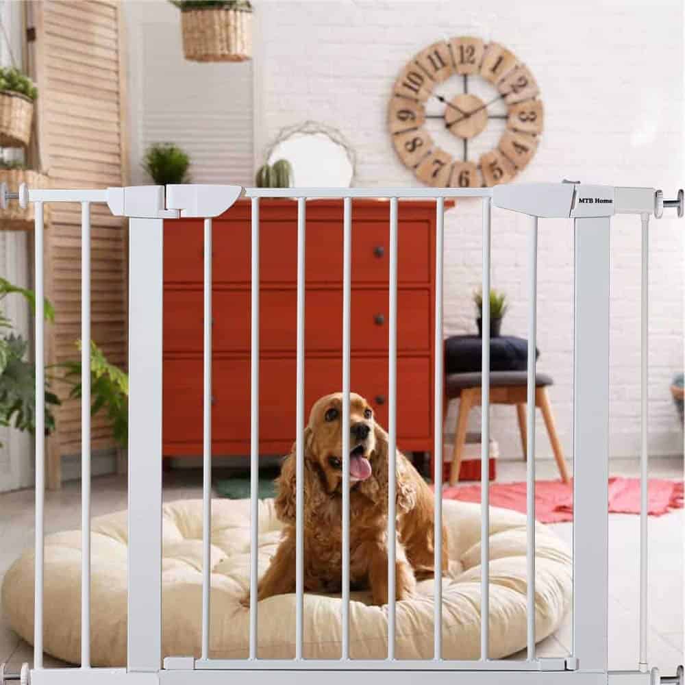 Puerta de Seguridad para Mascotas MTB Home Walk Thru,
