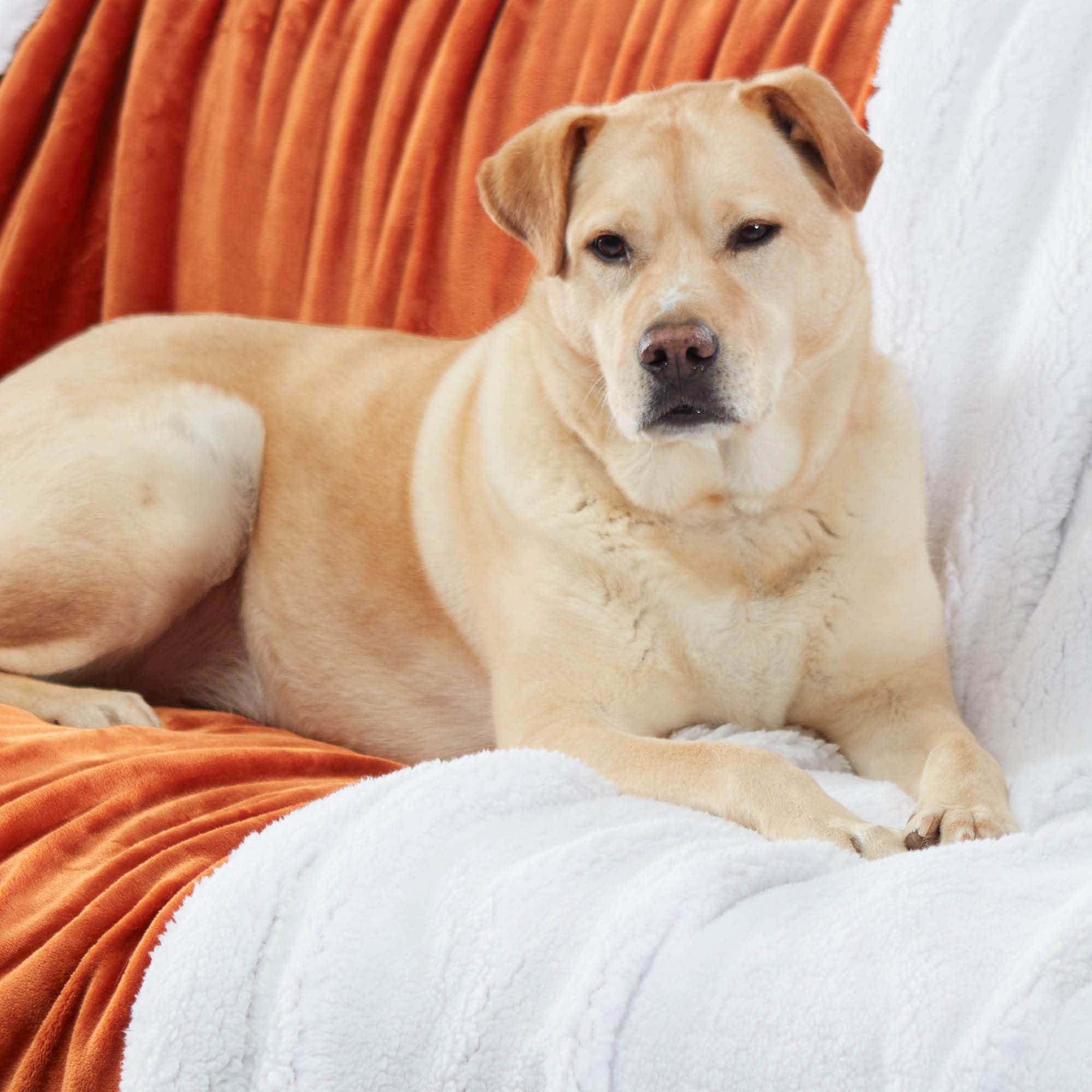 Manta Sherpa Genteele Súper Suave Reversible de Lujo Ultra - Imagen 6