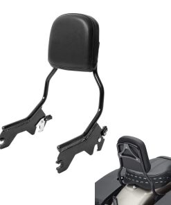 Respaldo estándar de altura para pasajero con cojín para