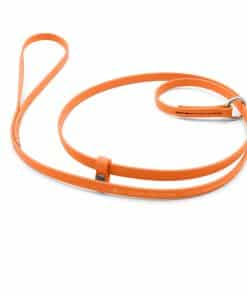 Correa de aseo Jelly para perros | Ideal para perreras,