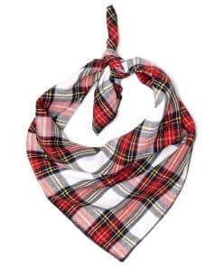 The Worthy Dog Stewart Tartan Plaid Classic Square Tie-On