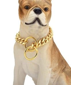 Collar de Perro de Cadena Dorada 11mm Cadena Cubana de