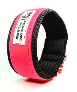Collar para Perros Bestia Dog Sport Ultra Resistente Neon