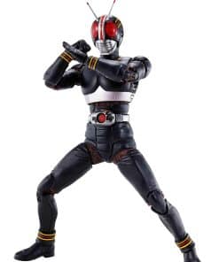 S.H. Figuarts (Método de tallado de hueso verdadero) Kamen