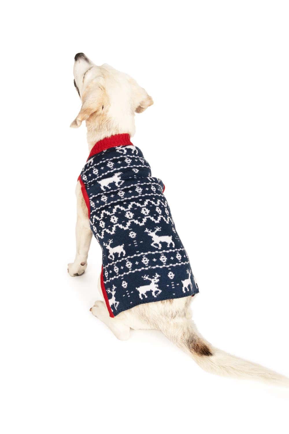 Suéter para Perro de Renos Azul de Tipsy Elves - Divertido - Imagen 3