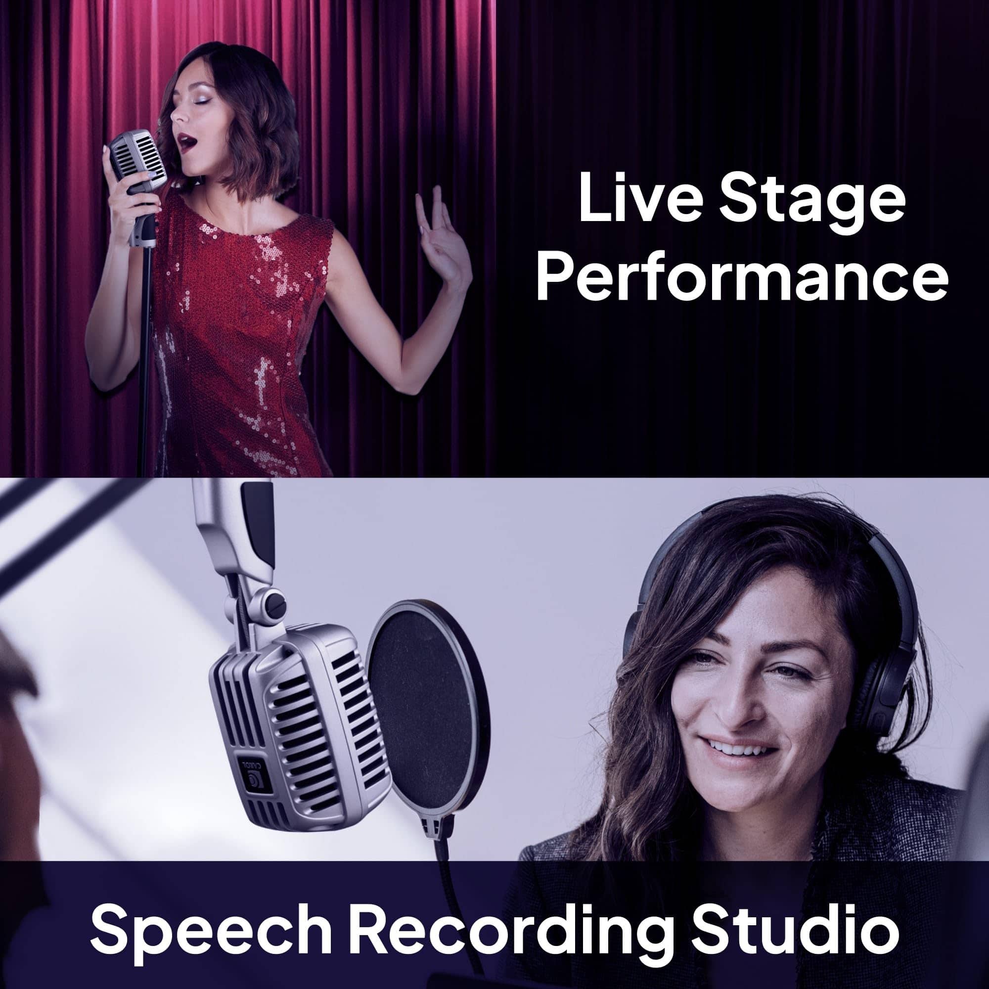 Micrófono vintage con cable CAROL CLM-101 Professional - - Imagen 7