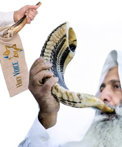 Shofar Ram Kosher de Israel � 12"-14" Instrumento Musical