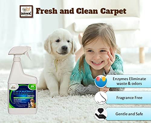 Hank & Harley Extreme Enzyme, Eliminador de Manchas y - Imagen 4