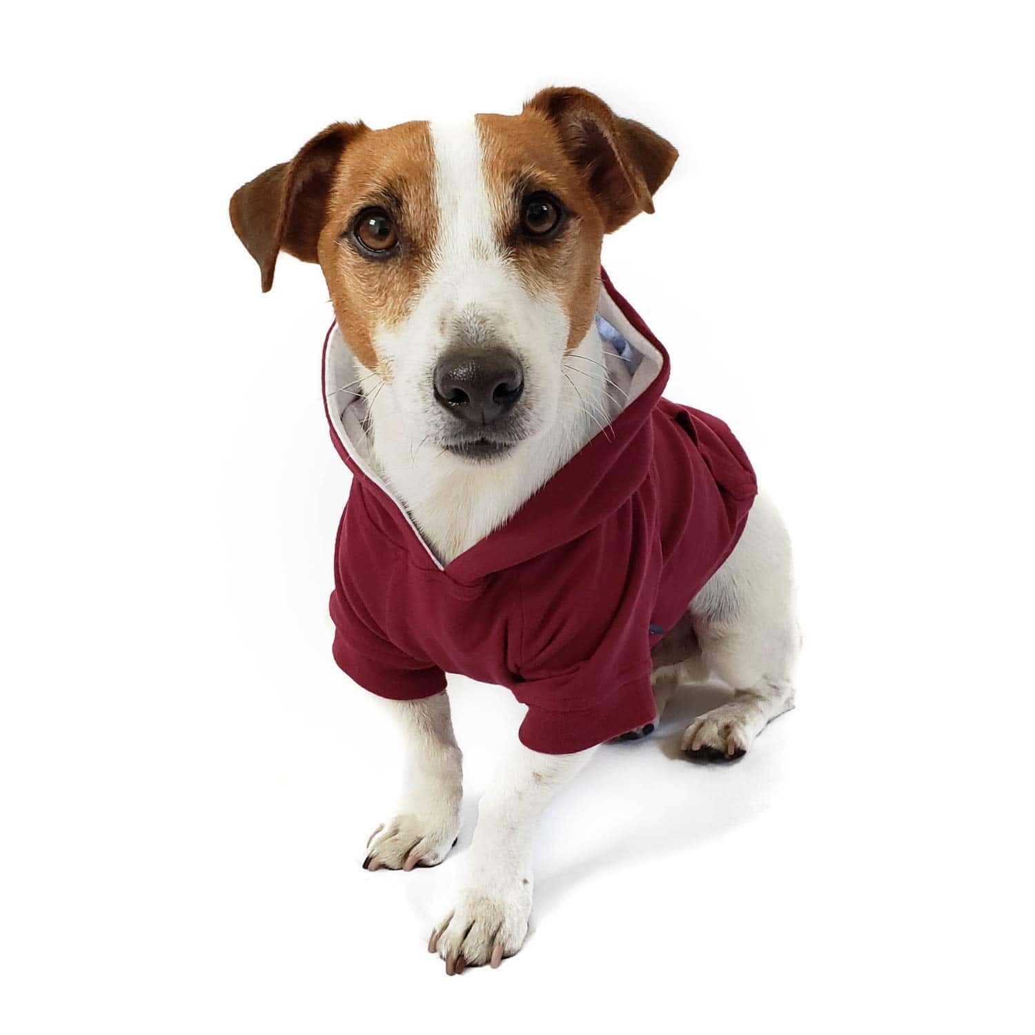 Sudadera y suéter súper suave y elástico para perros DJANGO