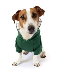Sudadera con capucha para perros DJANGO súper suave y
