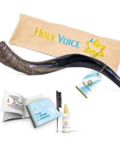 Cuerno de Shofar Kosher Kudu de Israel - Tradicional Yemení