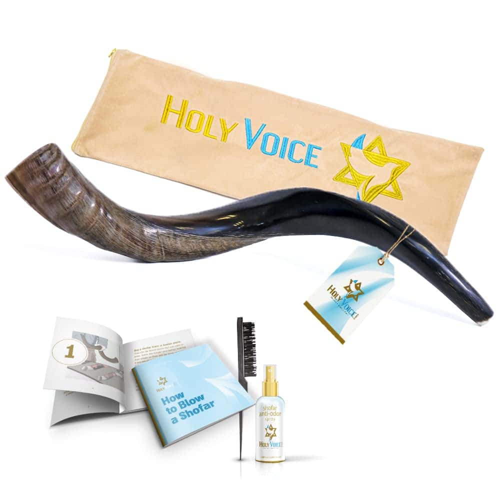 Cuerno de Shofar Kosher Kudu de Israel - Tradicional Yemení