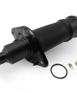 Resorte de Suspensión Trasero Izquierdo VIGOR Compatible