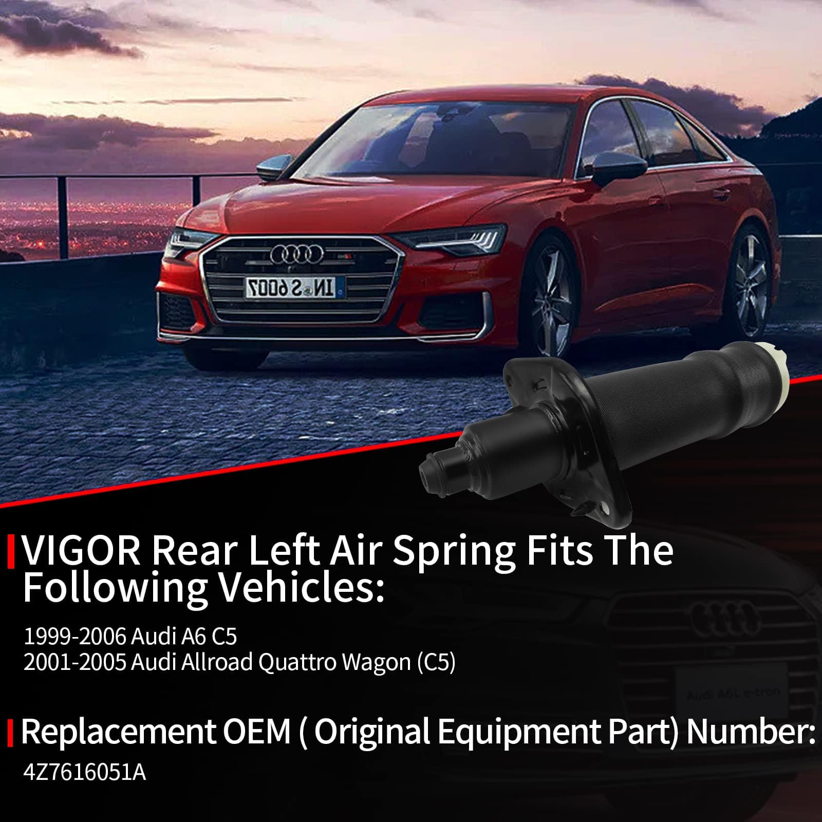 Resorte de Suspensión Trasero Izquierdo VIGOR Compatible - Imagen 7