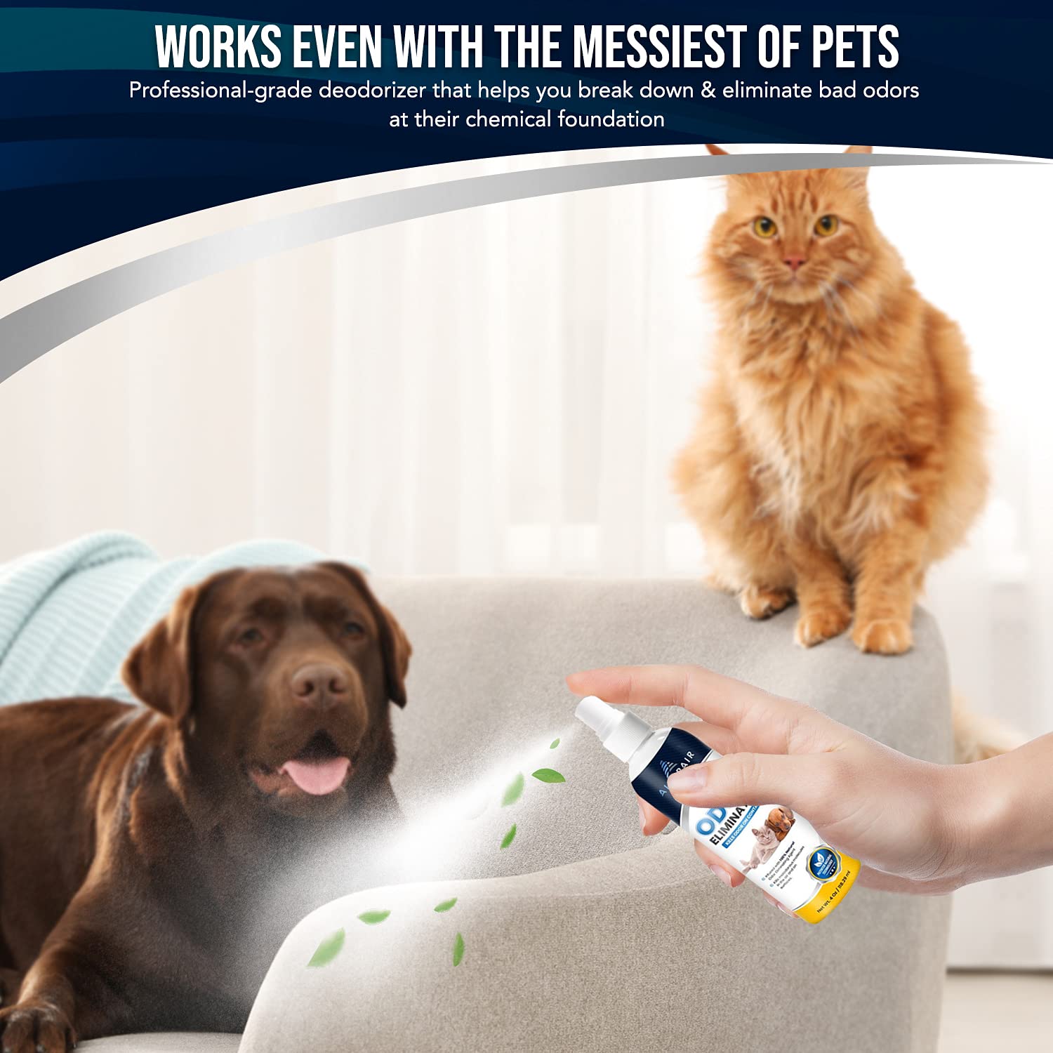 Eliminador de olores para mascotas en casa-Spray - Imagen 5