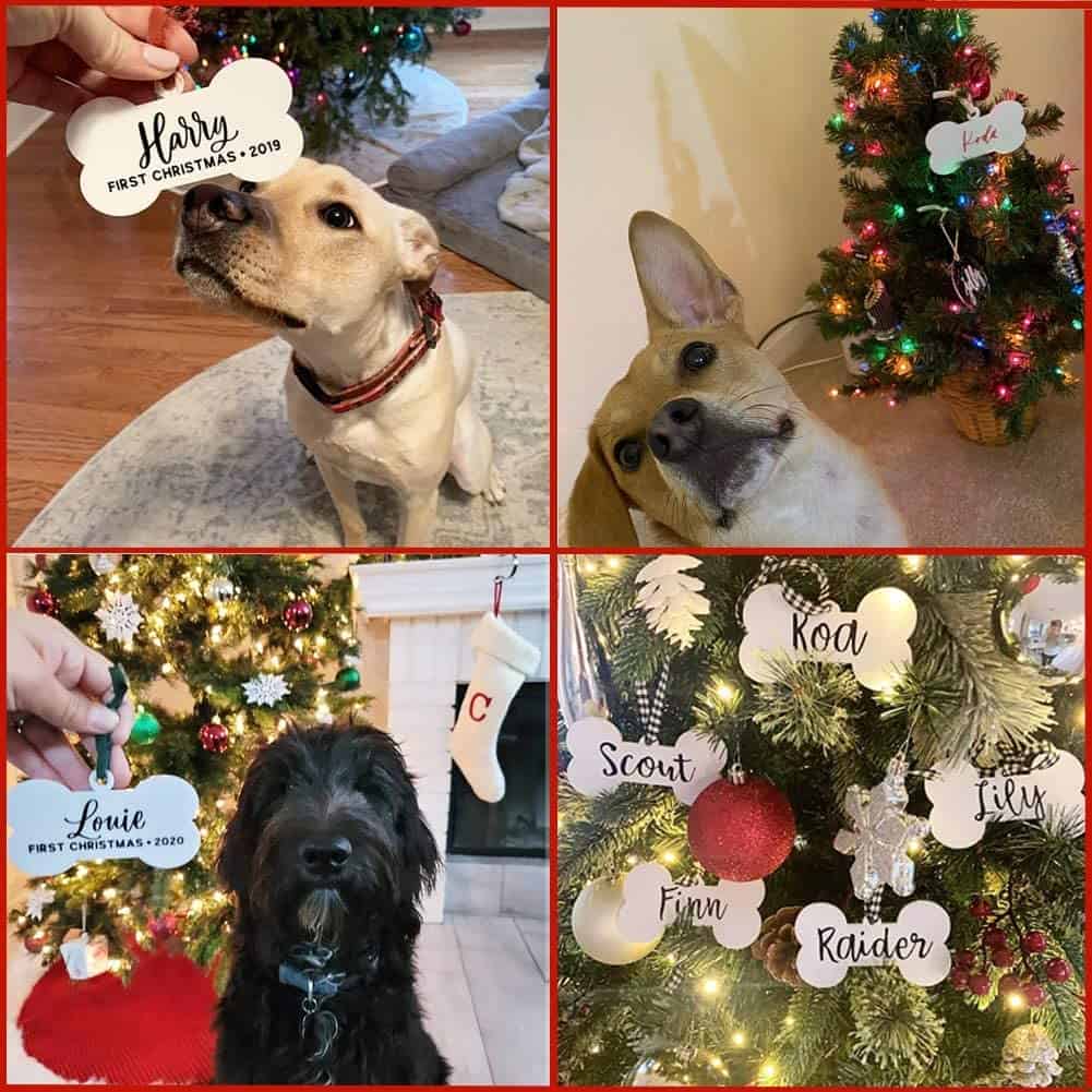 25 Pcs 4 Pulgadas Adornos de Navidad de Hueso de Perro de - Imagen 7