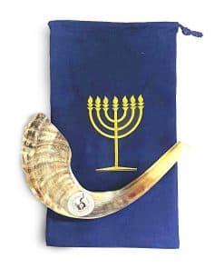 Shofar Medio-Pulido de Cuerno de Carnero | Cuerno de