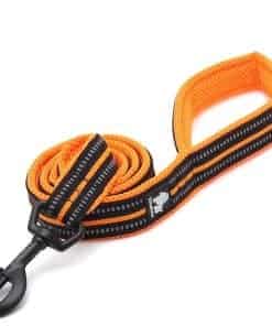 Correa Multiusos para Perro Chai's Choice Tamaño Mediano