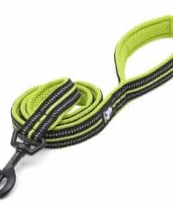 Correa Multiusos Chai's Choice Medium (Limonada)| Correa