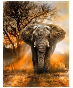 Manta de Elefante Africano Naranja HommomH 60"x80" Suave y