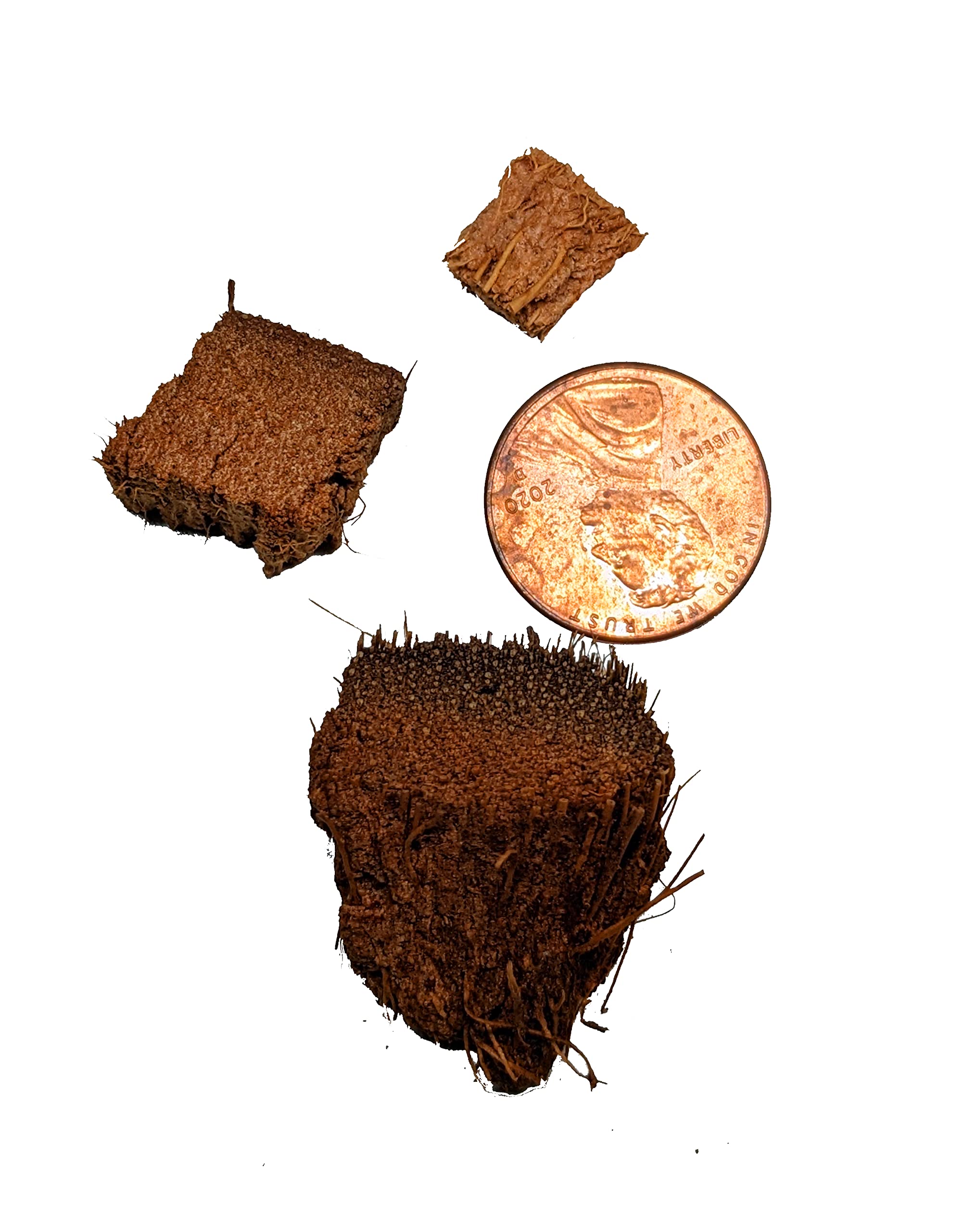 Chips de Cáscara de Coco Sueltos de Josh's Frogs (25 Litros) - Imagen 6